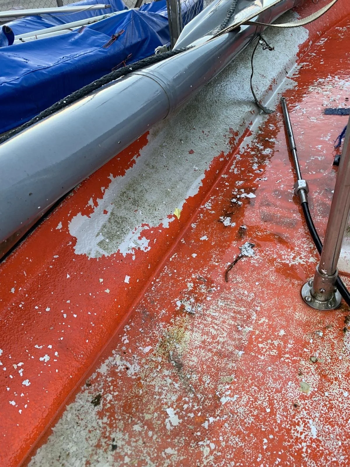 e99e15a8-235b-40ae-a2f3-3ce82df6d42f 2.JPG