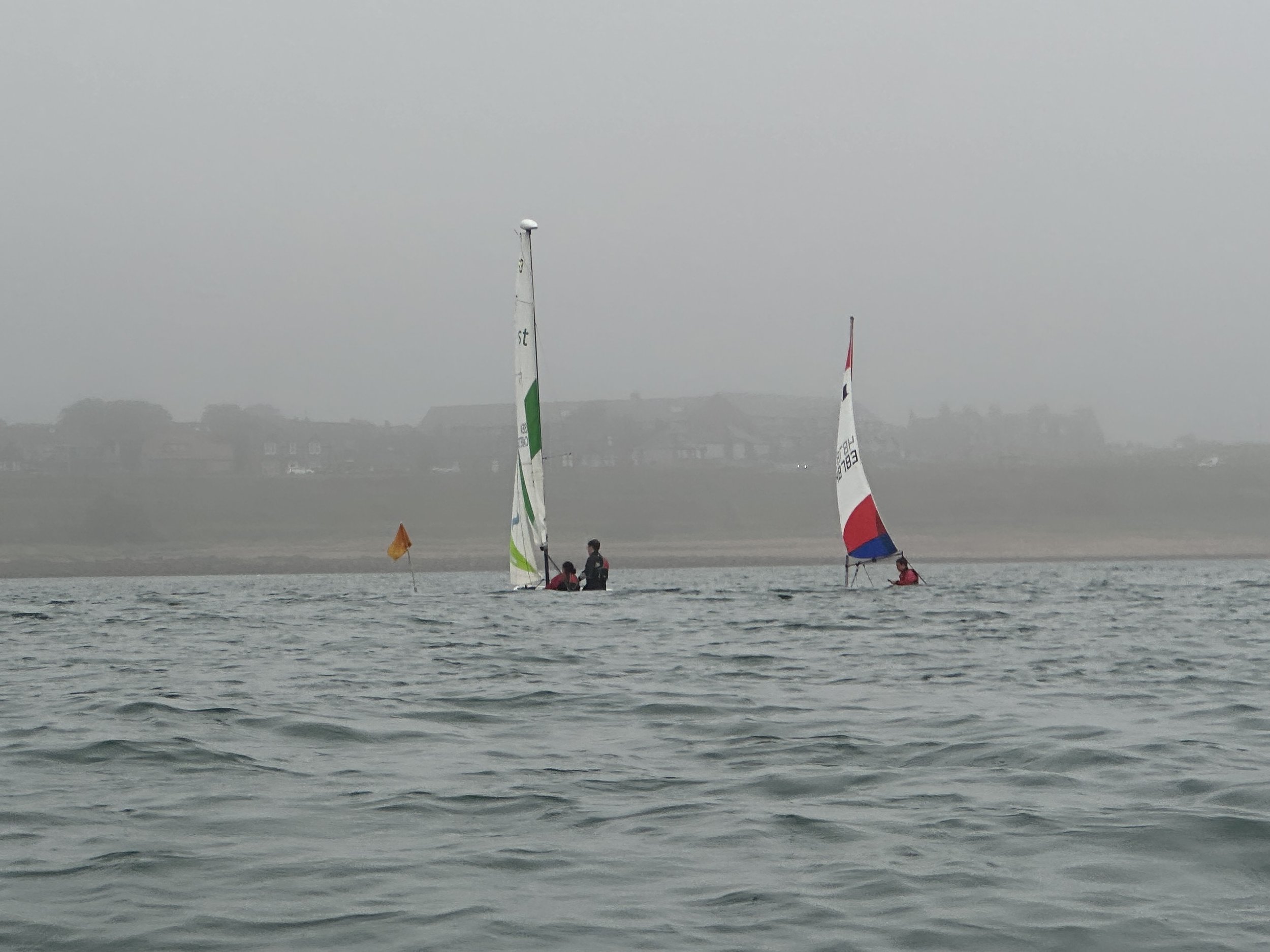 IMG_9295.jpg