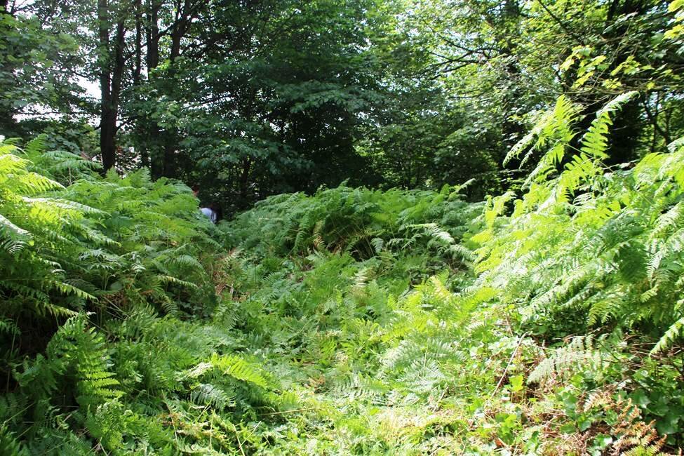 Top Road Before