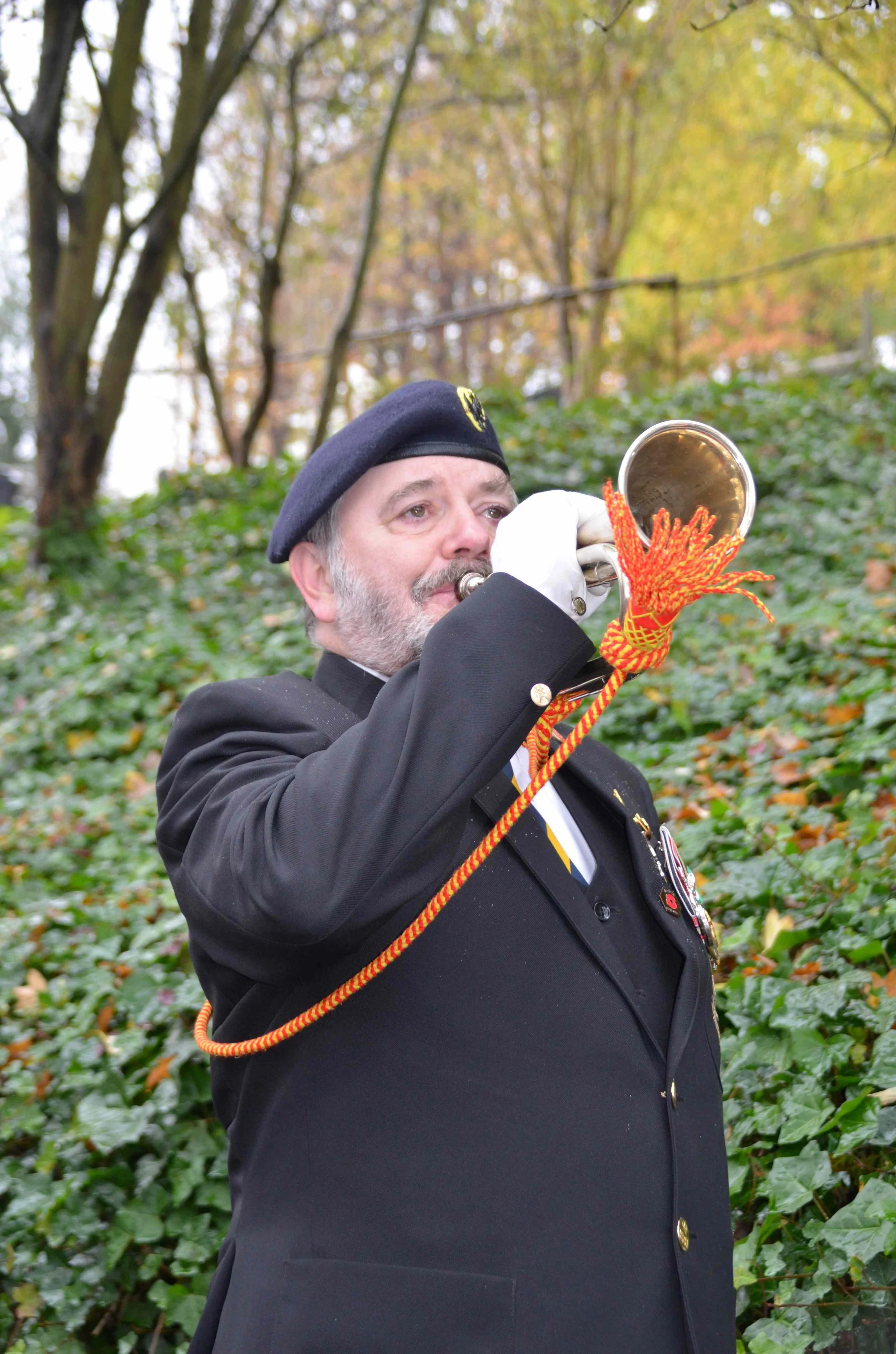 The Service Records of our War dead 