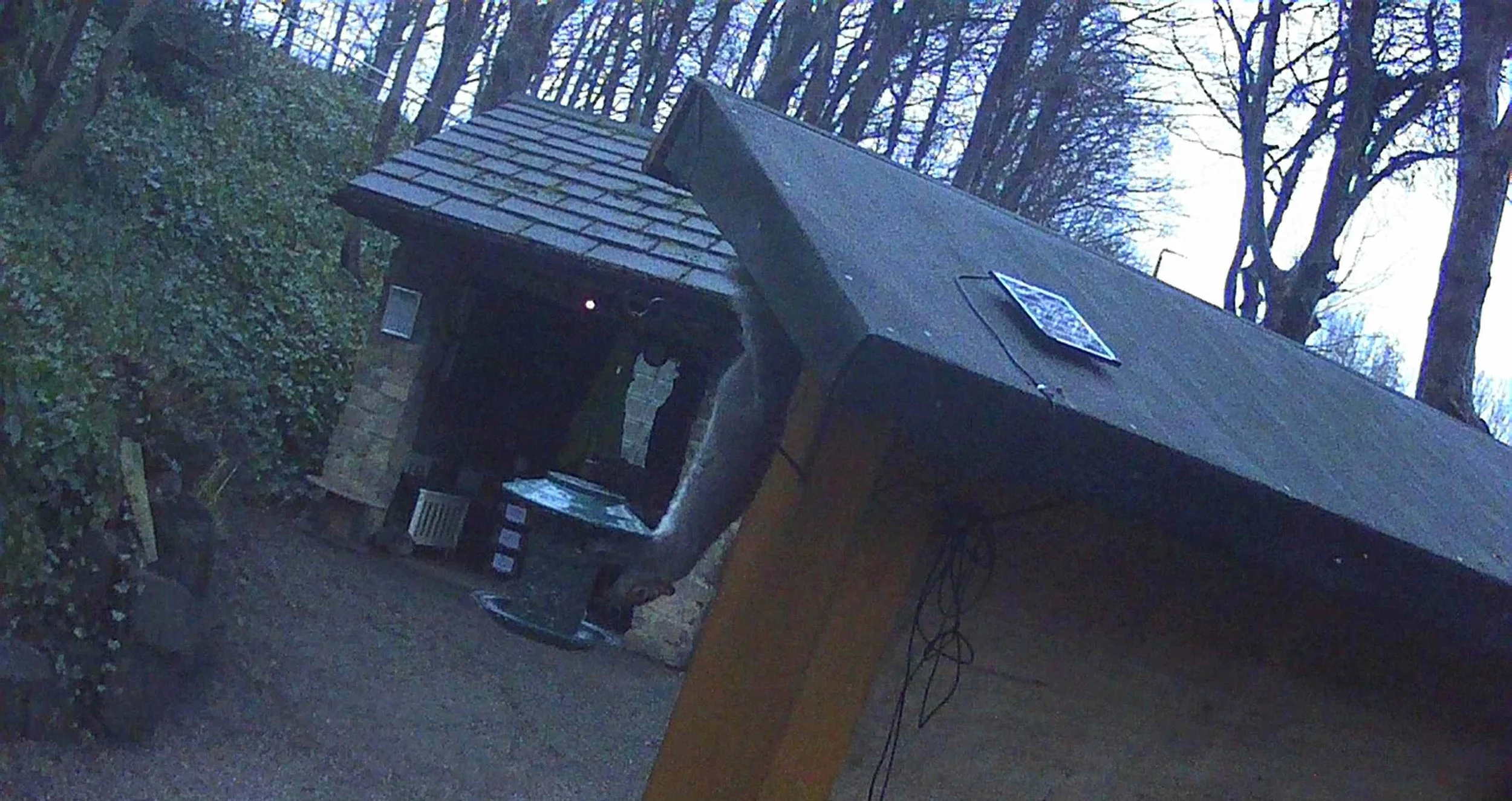 “What’s small and very persistent” 