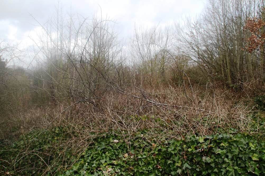 Carriage Road Before