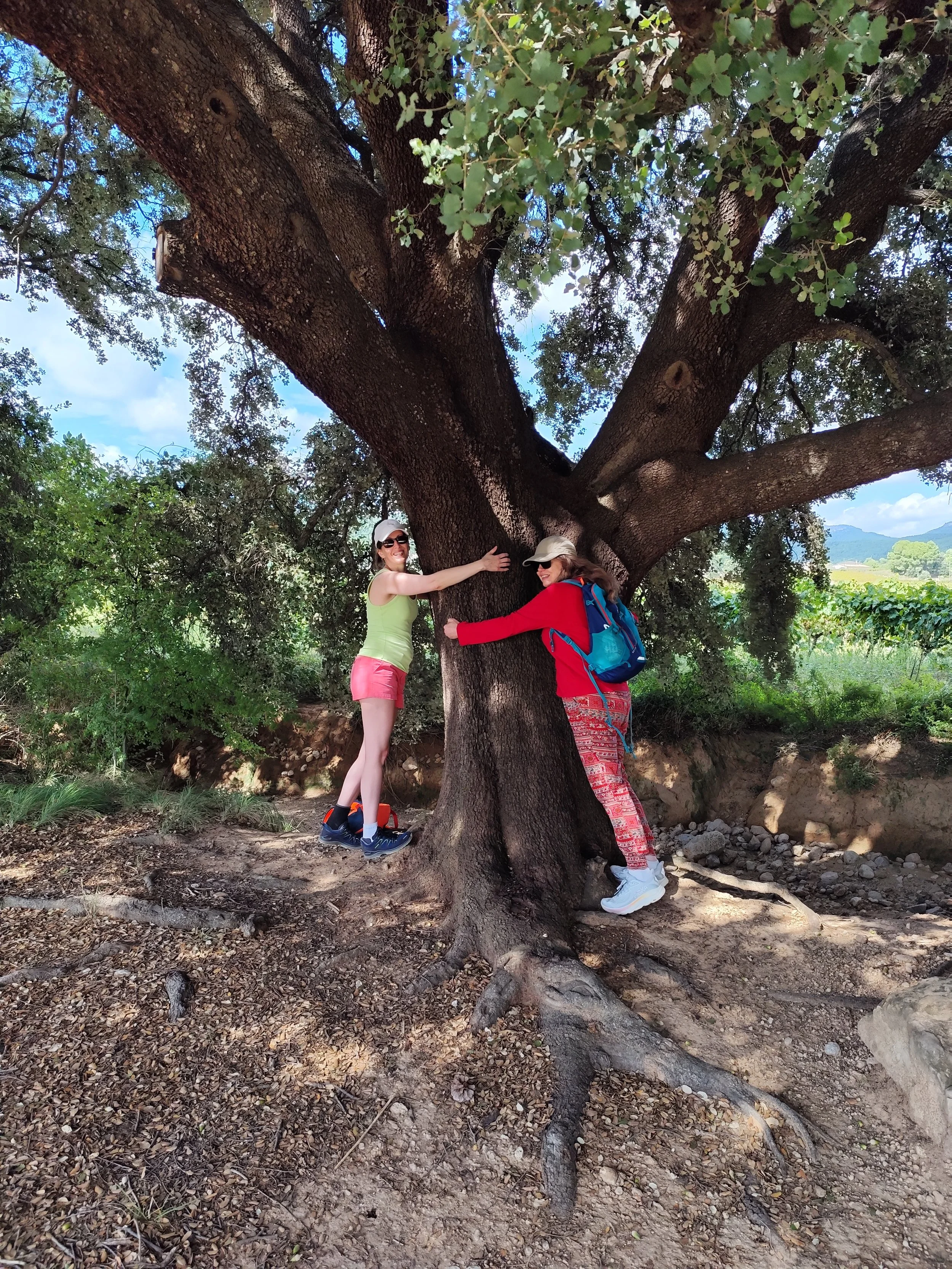 Women hugging an ancient tree in the Penedes vineyards at GetCalmer Women's Retreat Soul farm Mas els Igols Barcelona Spain