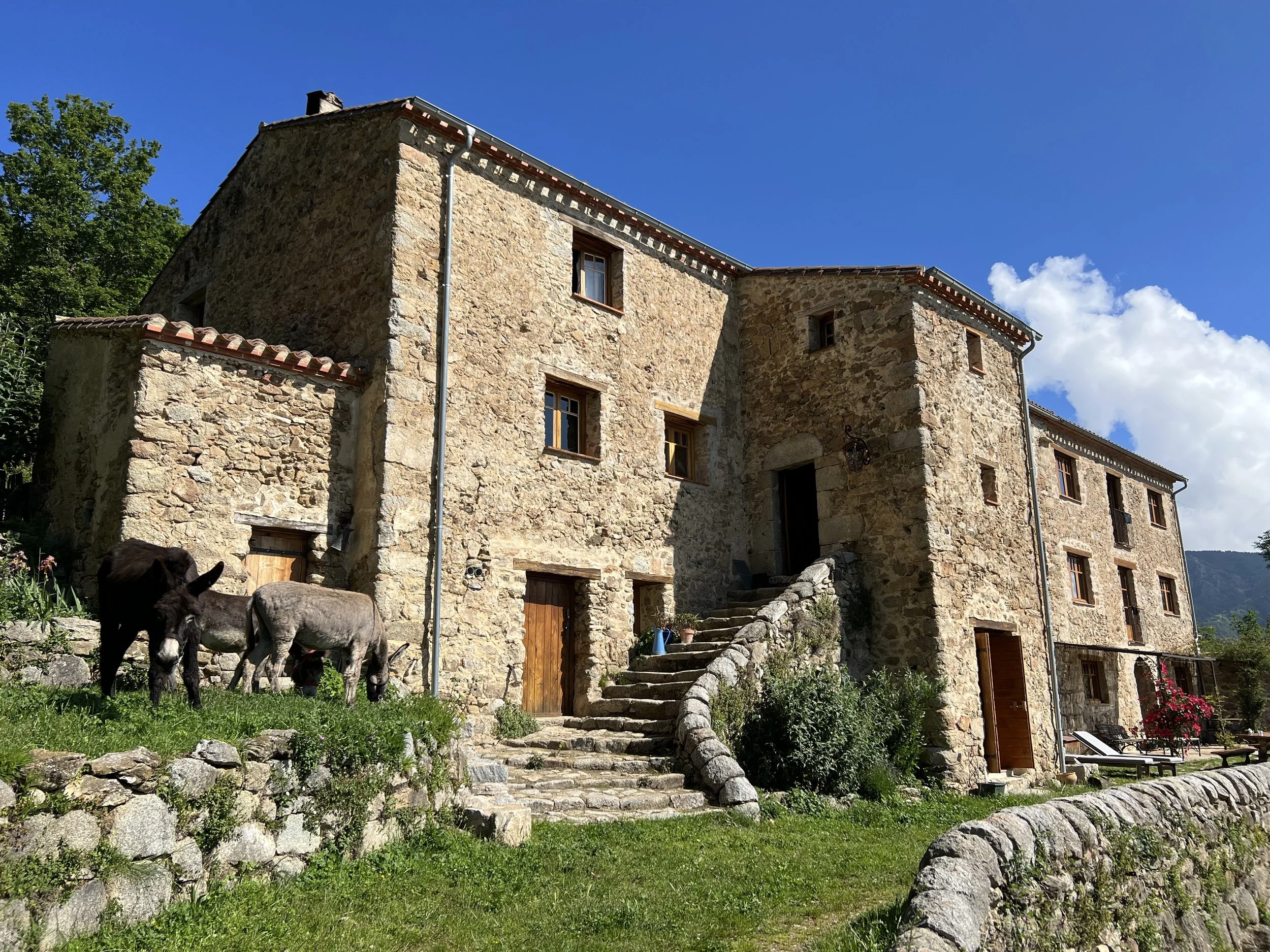 La Taillede Retreat Centre with Donkeys France