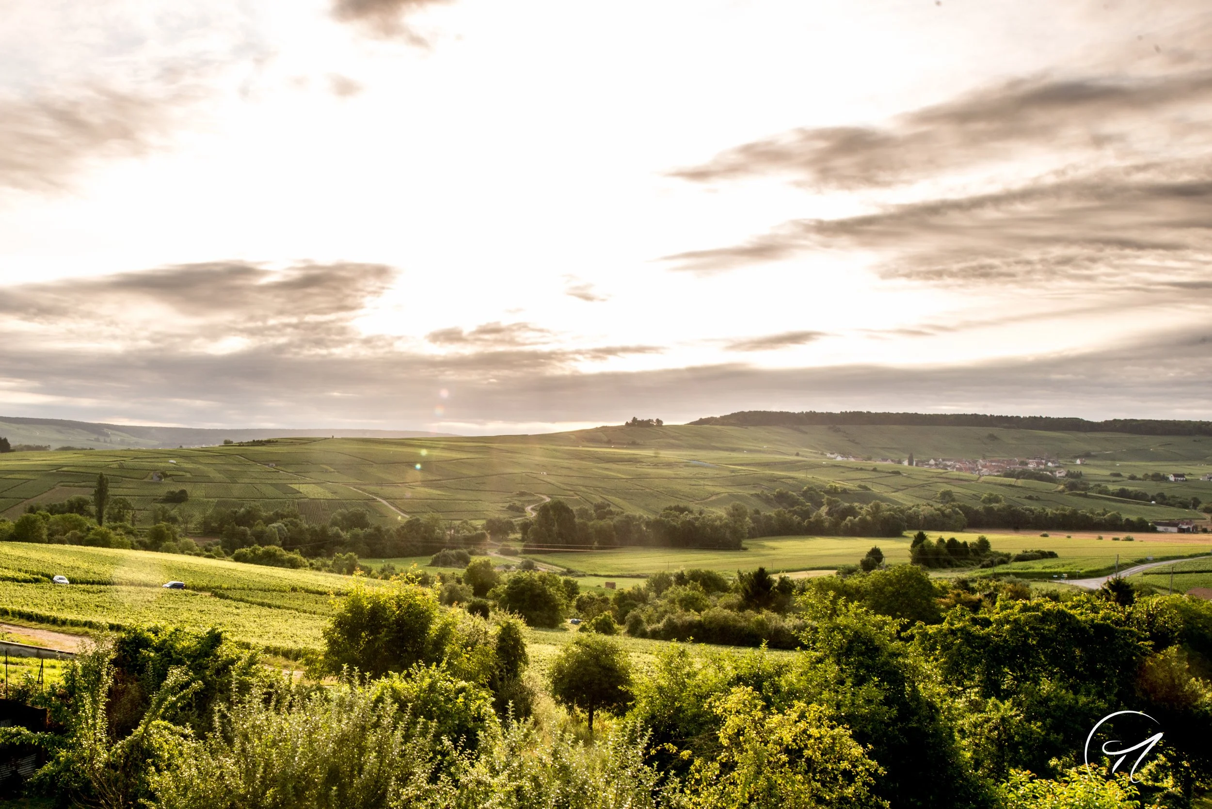 Dehours Blick aus dem Fenster des Weinguts.jpg