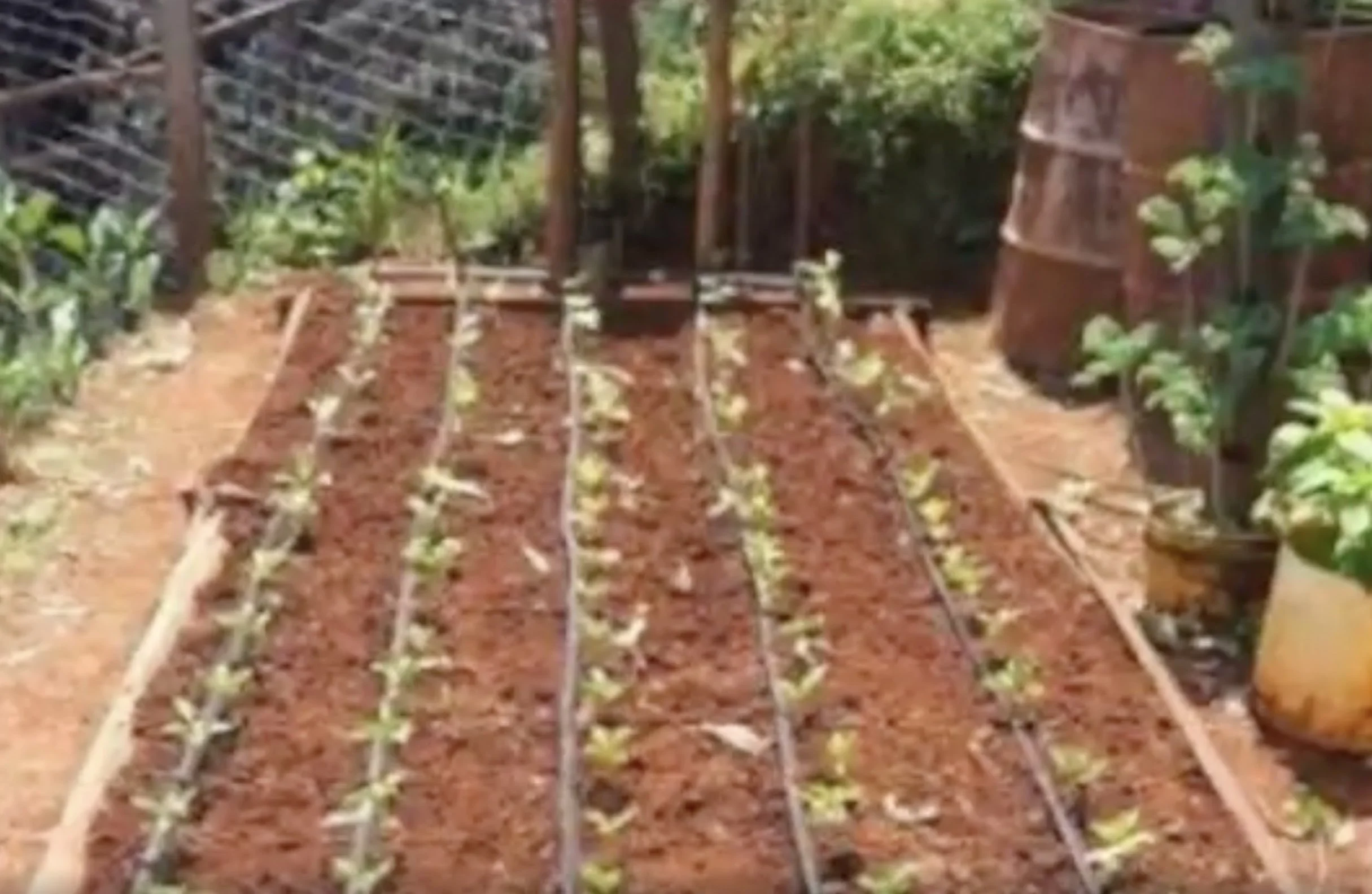 Dry Land Agriculture Project 