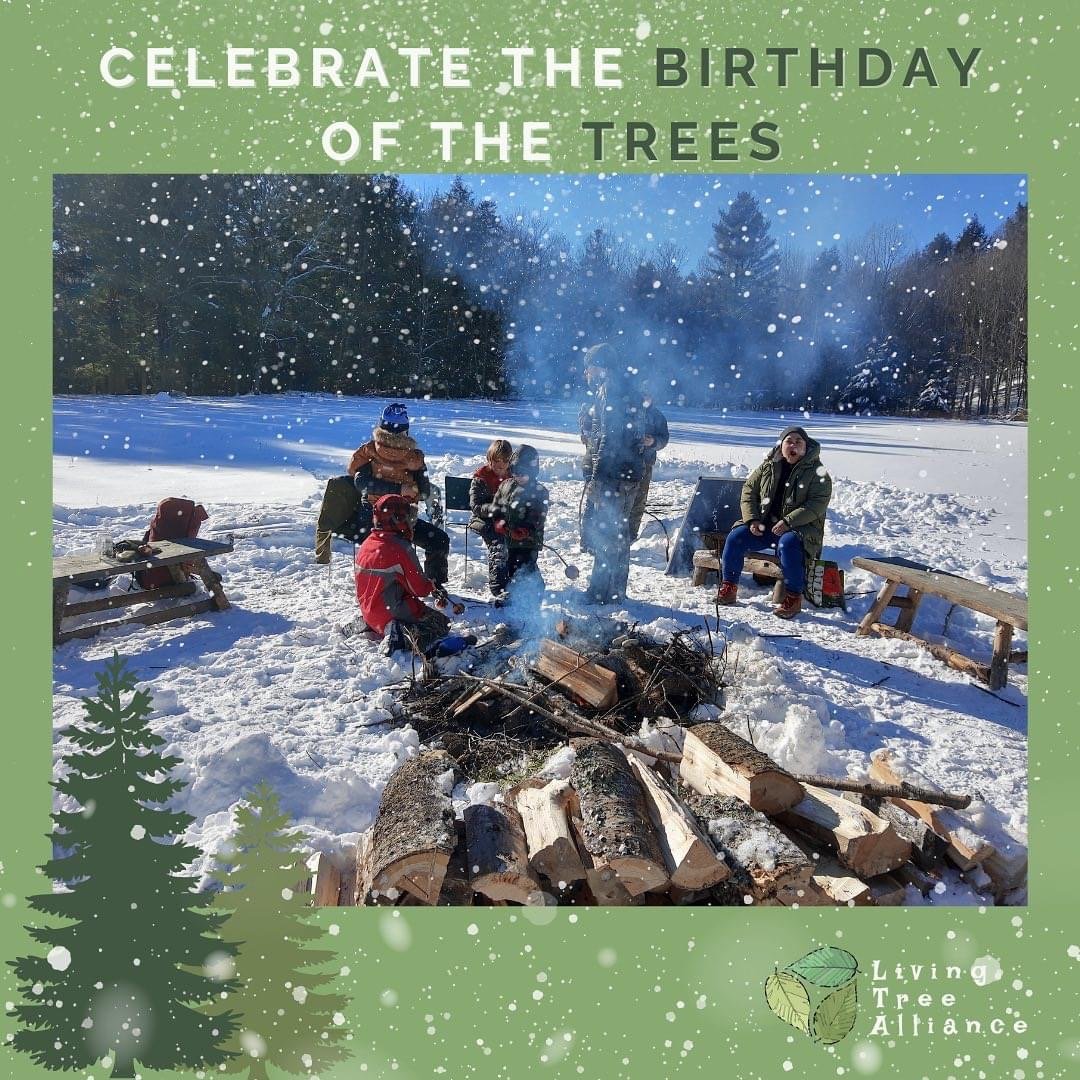 TU BISHVAT:" BIRTHDAY PARTY FOR THE TREES!