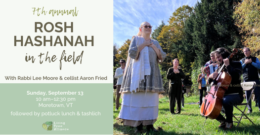 Rosh Hashanah in the Field