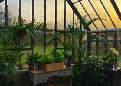 Greenhouse1-400x284.jpg
