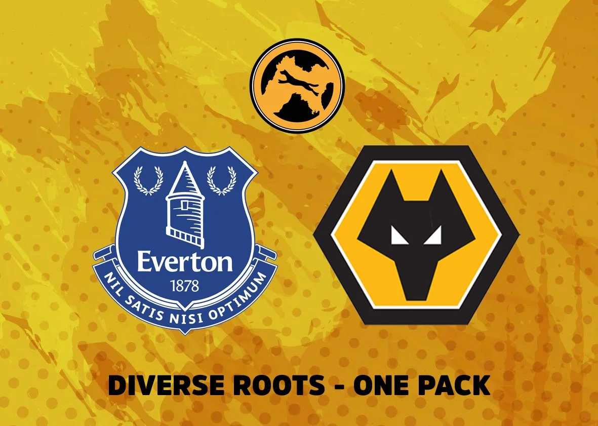 Everton vs Wolves