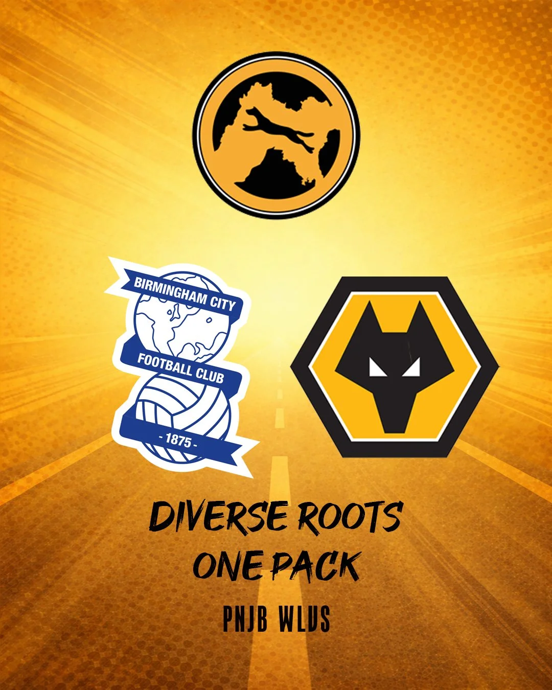 Birmingham City vs Wolves