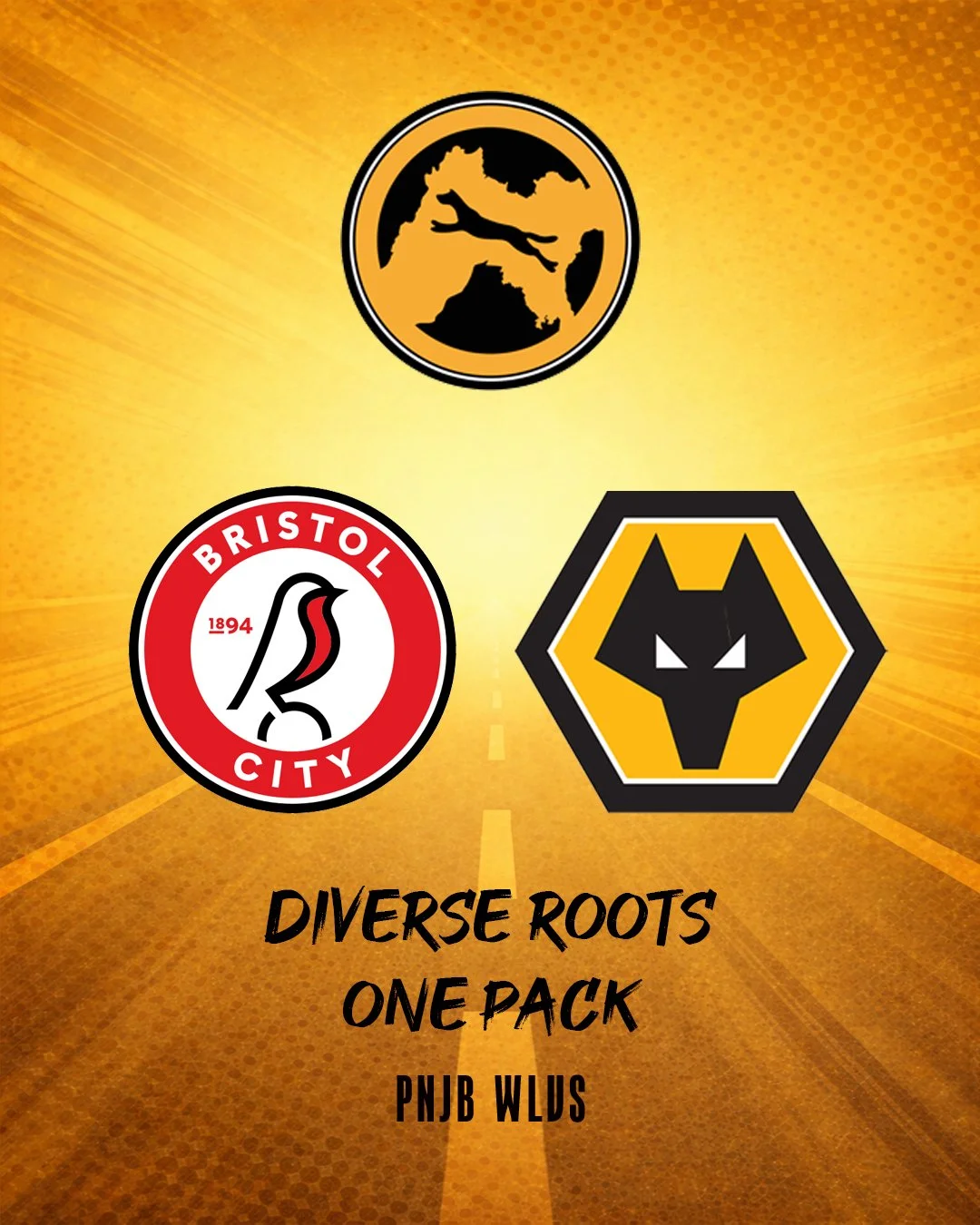 Bristol City vs Wolves