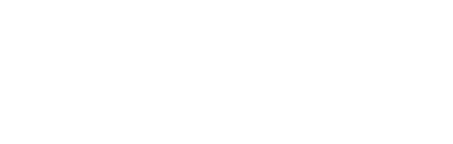 CrossFit XI