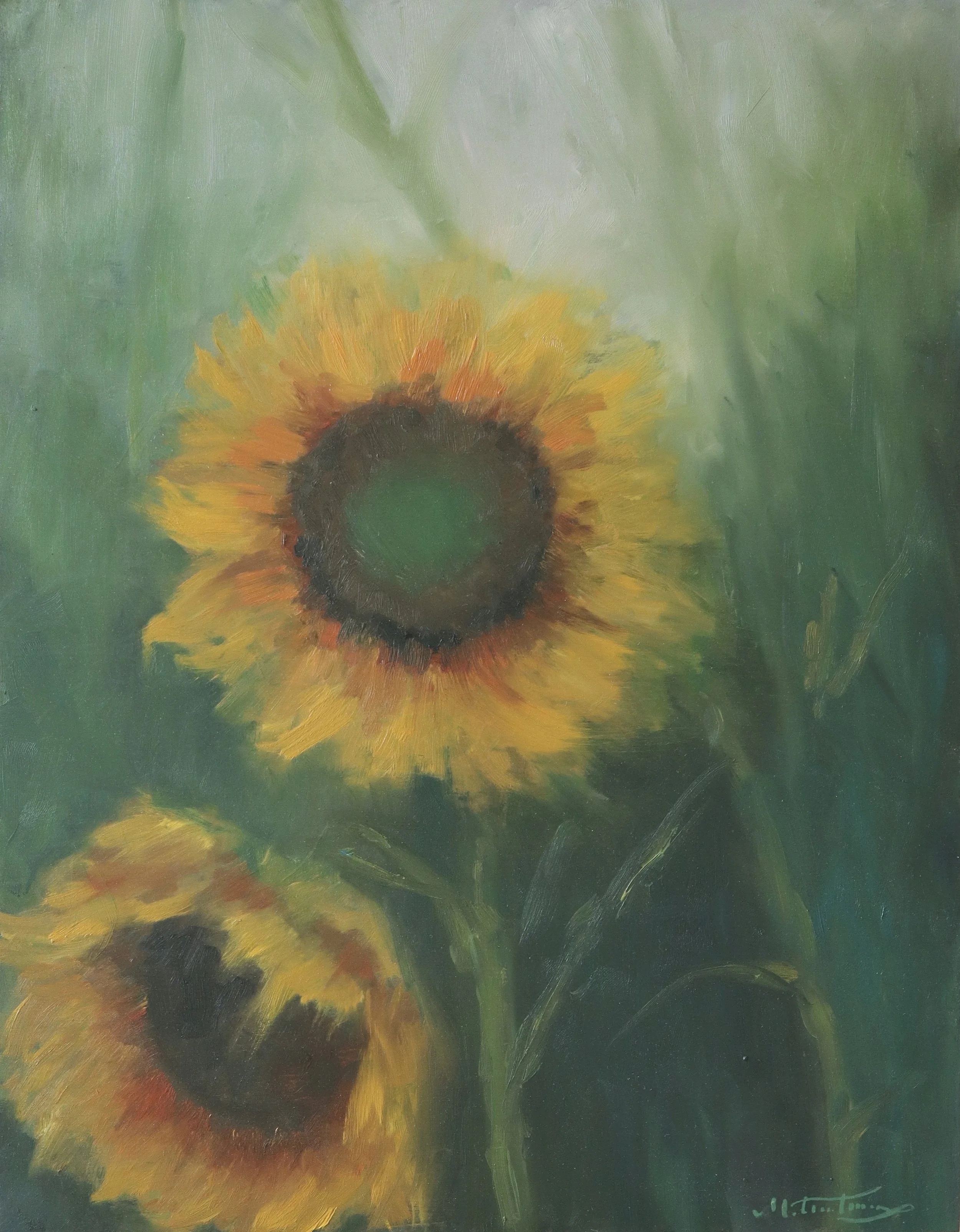 sunflowers in rain