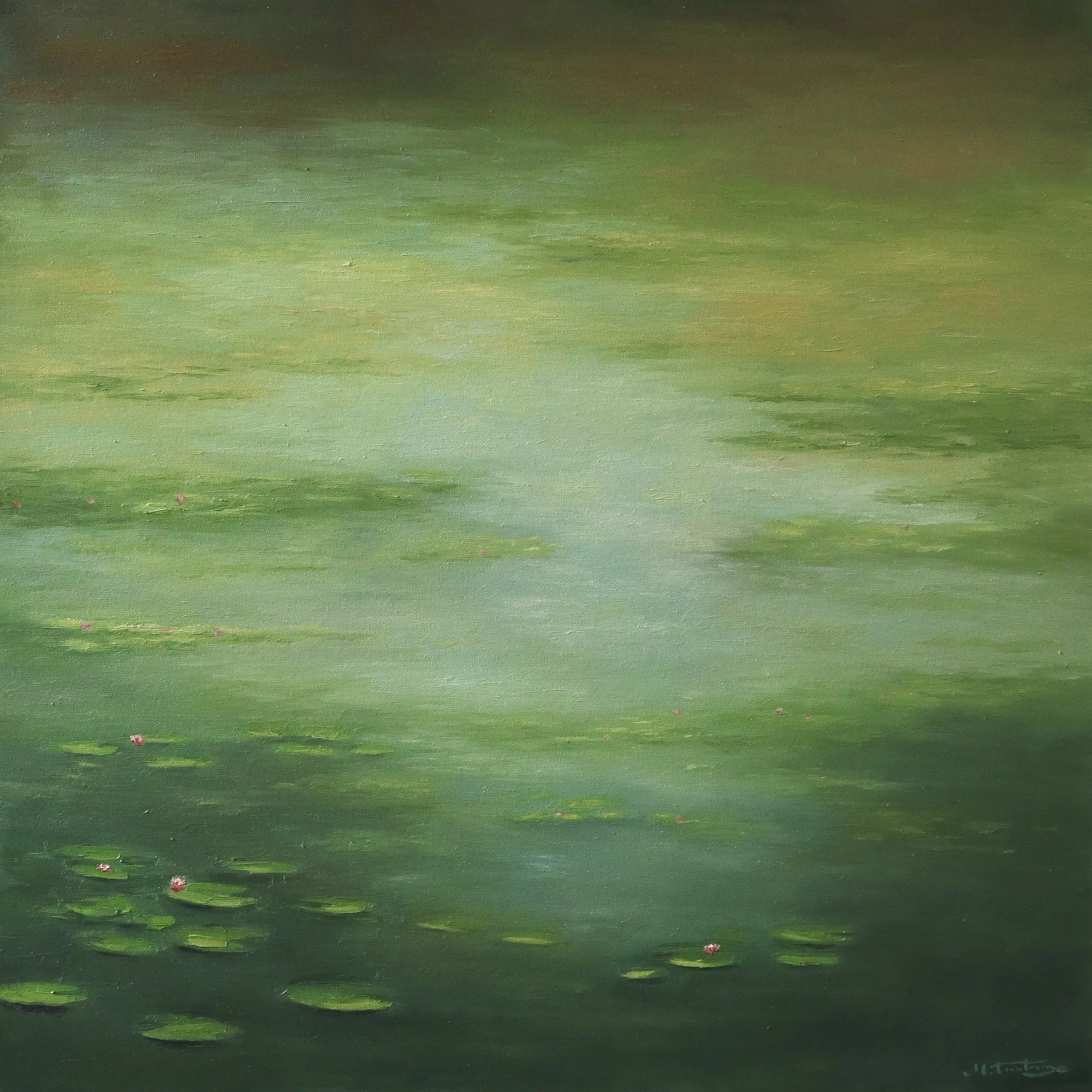 water lilies