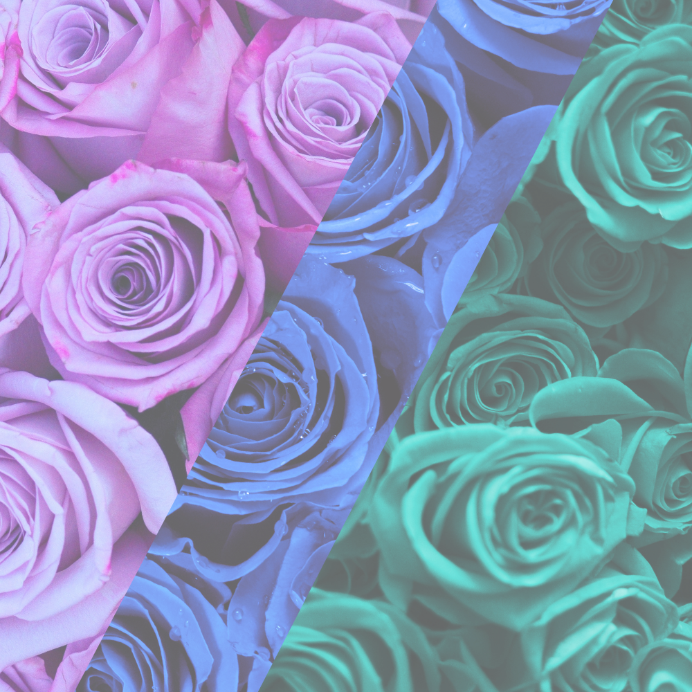 Tanisha Michele Graphics (1).png