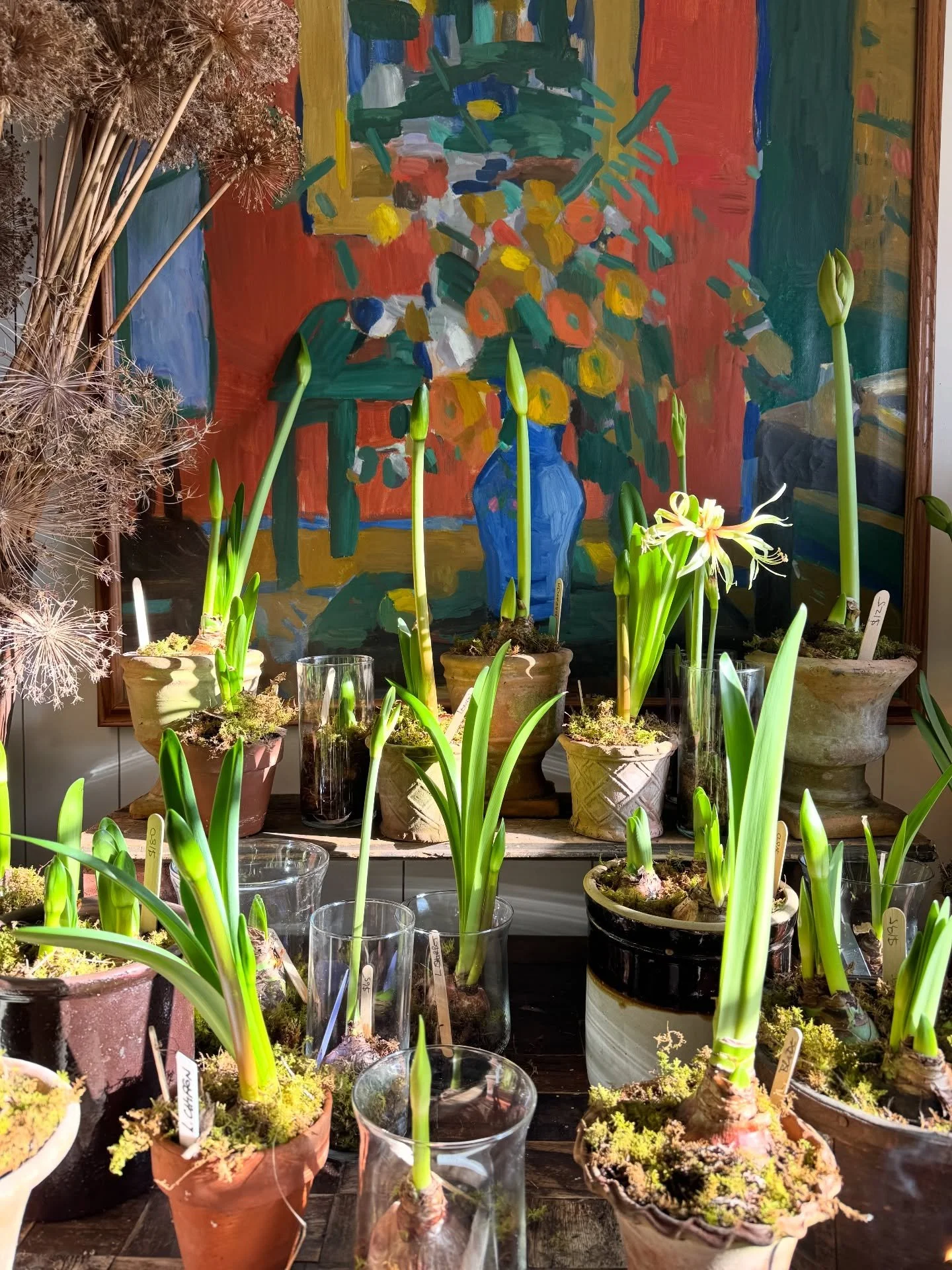 I so love to see how everyone decorates for Christmas. Ribbons, white lights and loads of greenery is what I would do! Happy holidays everyone! Hope you have a wonderful break.