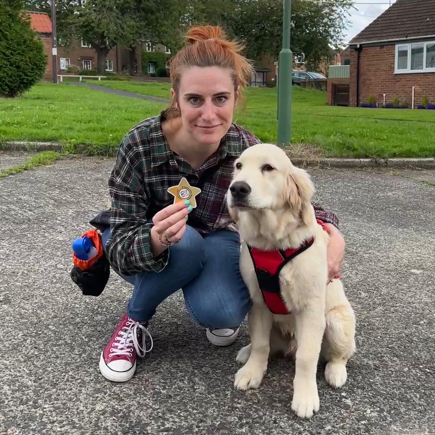 ⭐️M-Bark gold star⭐️ awarded to @keikos_golden_adventures the Golden Retriever his response to recall and loose lead walking training was excellent. He is a beautiful puppy in every way.
#golderetriever