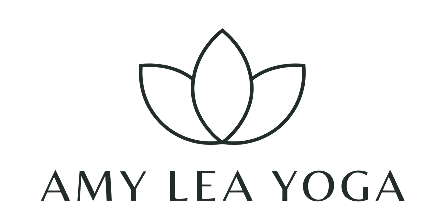 amyleayogaandwellness.com