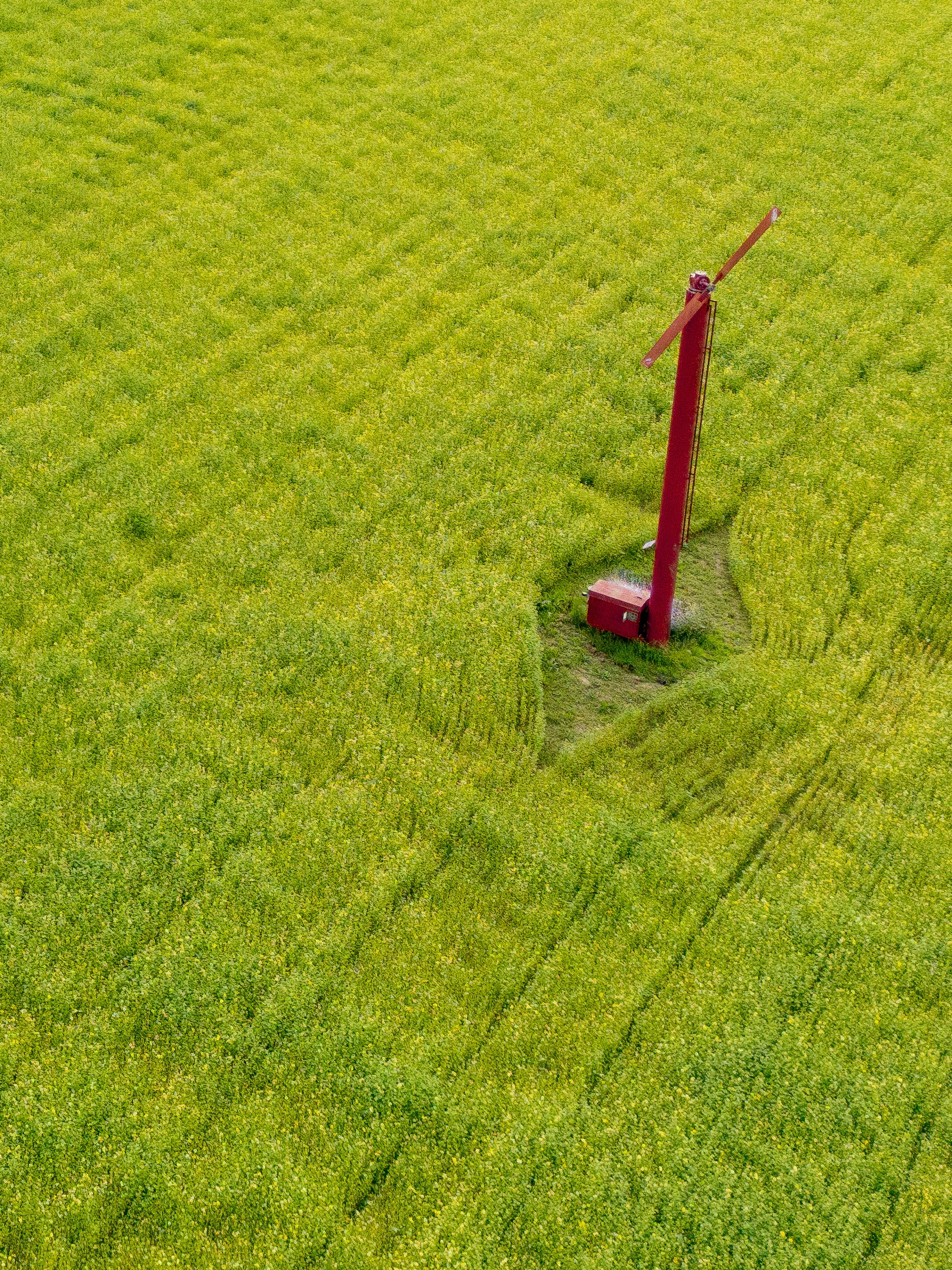 DJI_0410.jpg