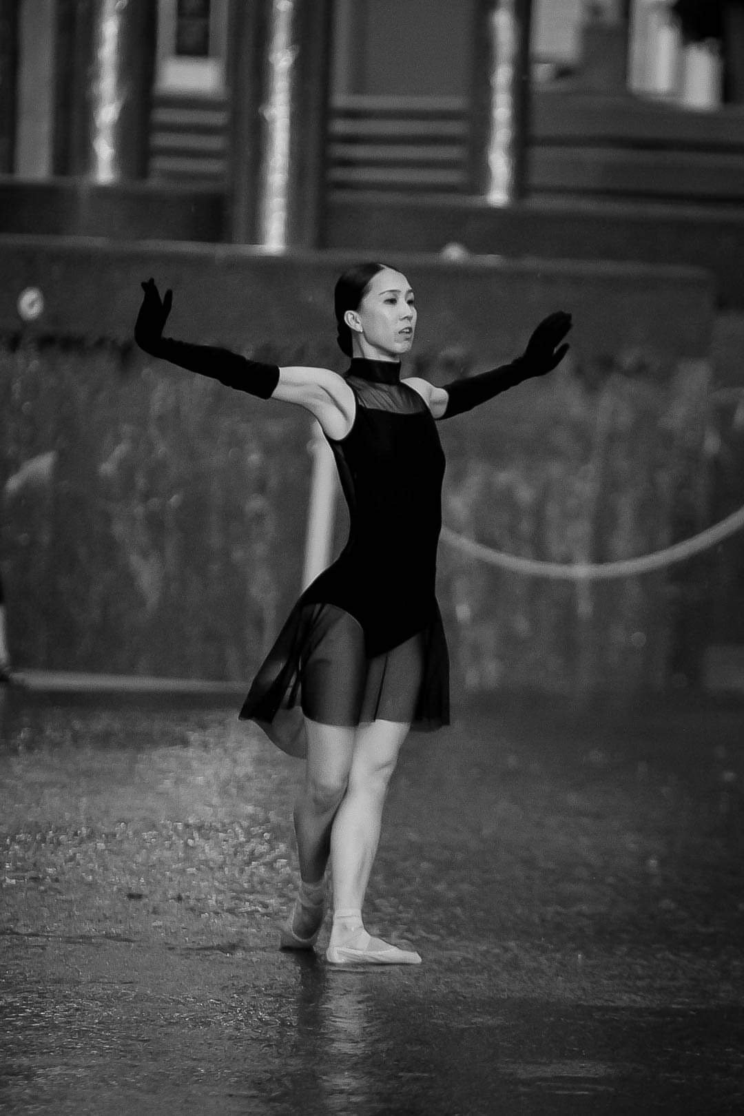 Photo by Sara Van Vreede