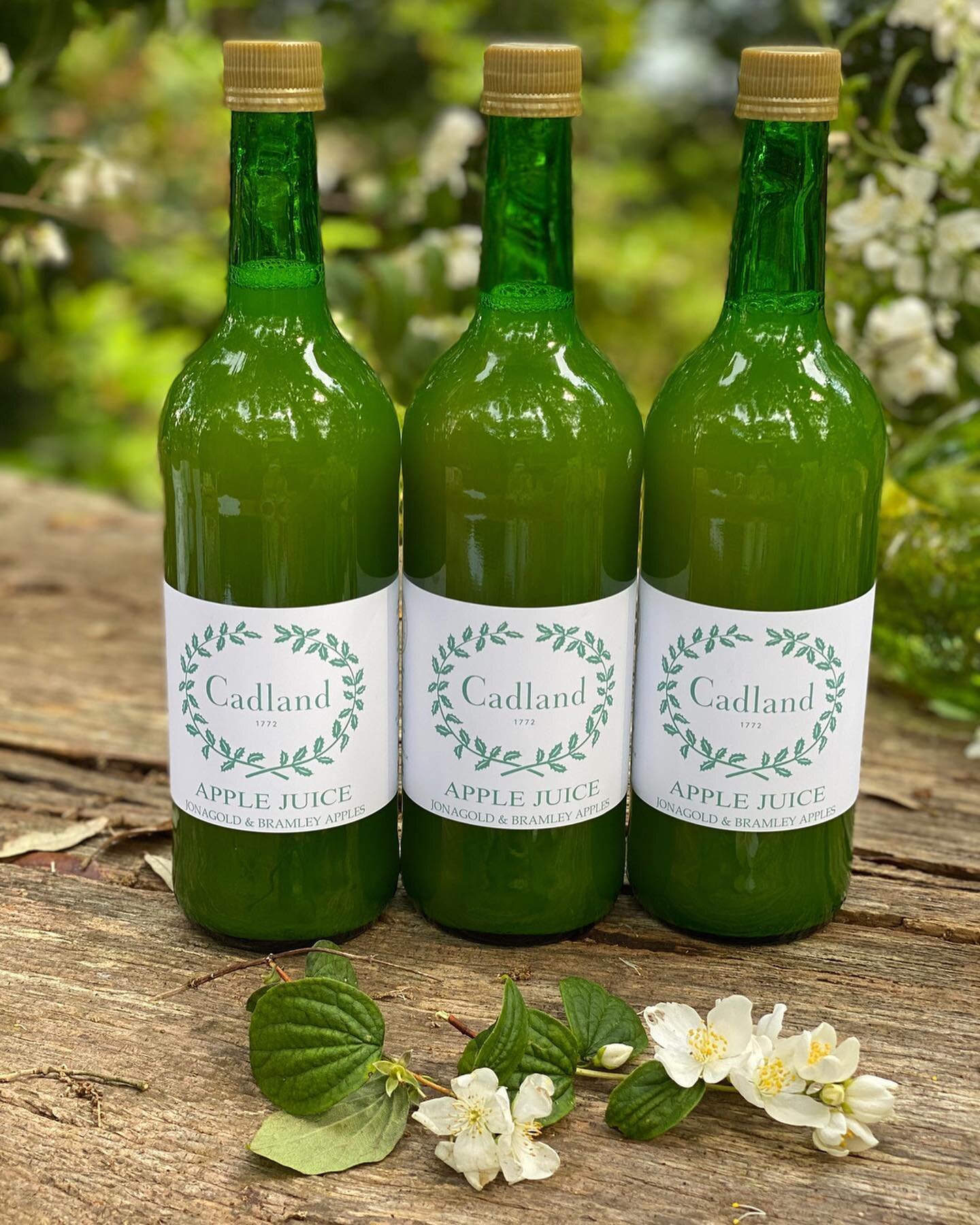 Pure Pressed Cadland Apple Juice and Elderflower Cordial 🍏 

100% natural, nothing added - just the way we like it. Available now from our @ThePopUpHotel store and online
.⠀⠀⠀⠀⠀⠀⠀⠀⠀
.
.
.
.
.
.
.
.
.
.
. 
#applejuice #elderflowercordial #naturalprod