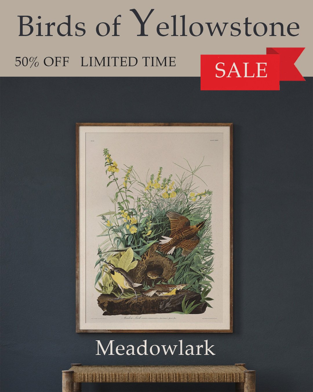 Meadowlark Audubon Art