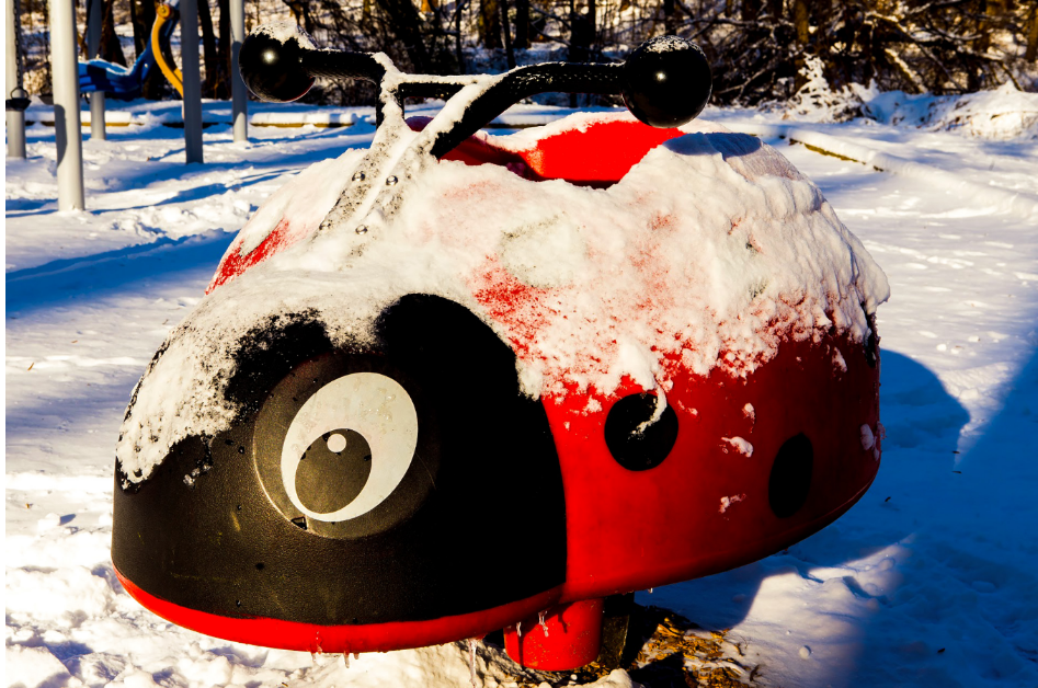 How Insects Survive Winter