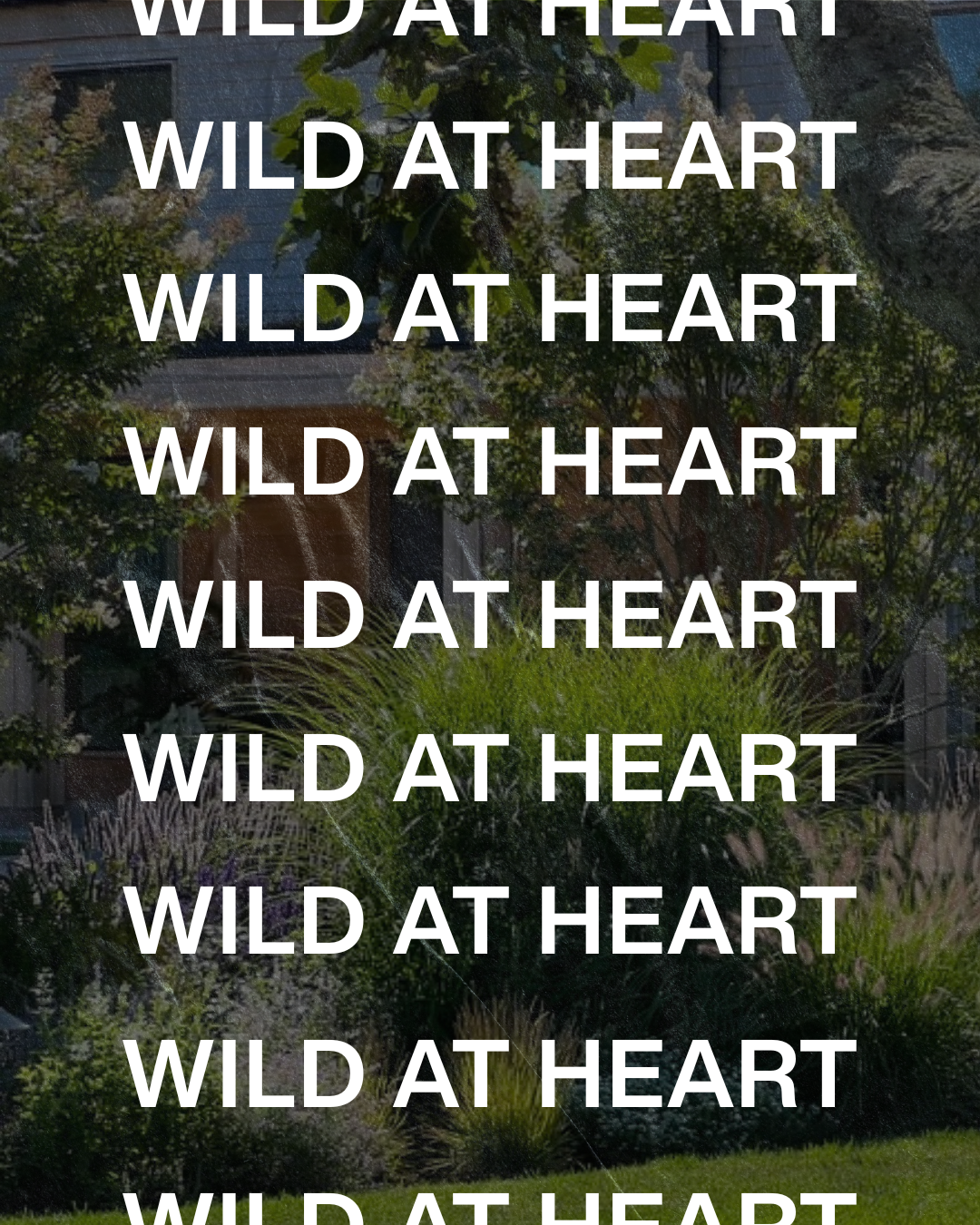 Wild At Heart