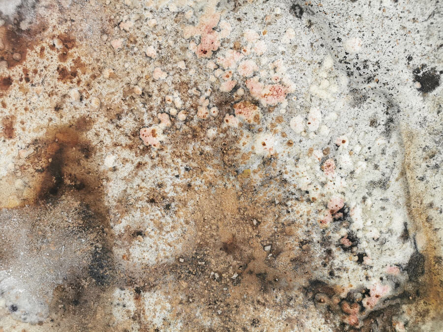 Cairde_By-Equinox-Drenched-2021_--200x140cm-Earth-pigment,Kelp,Shell,Berries,Sloes,Lichen,Oak-Gall,Liquid-Iron,Copper-Scraps-detail-3.jpg