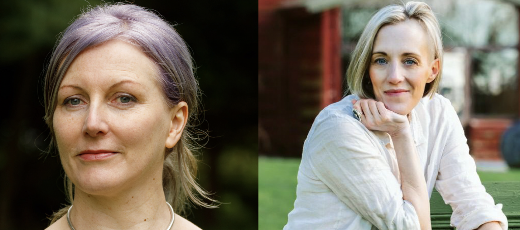 Nature, mortality and the divine in new Irish literature