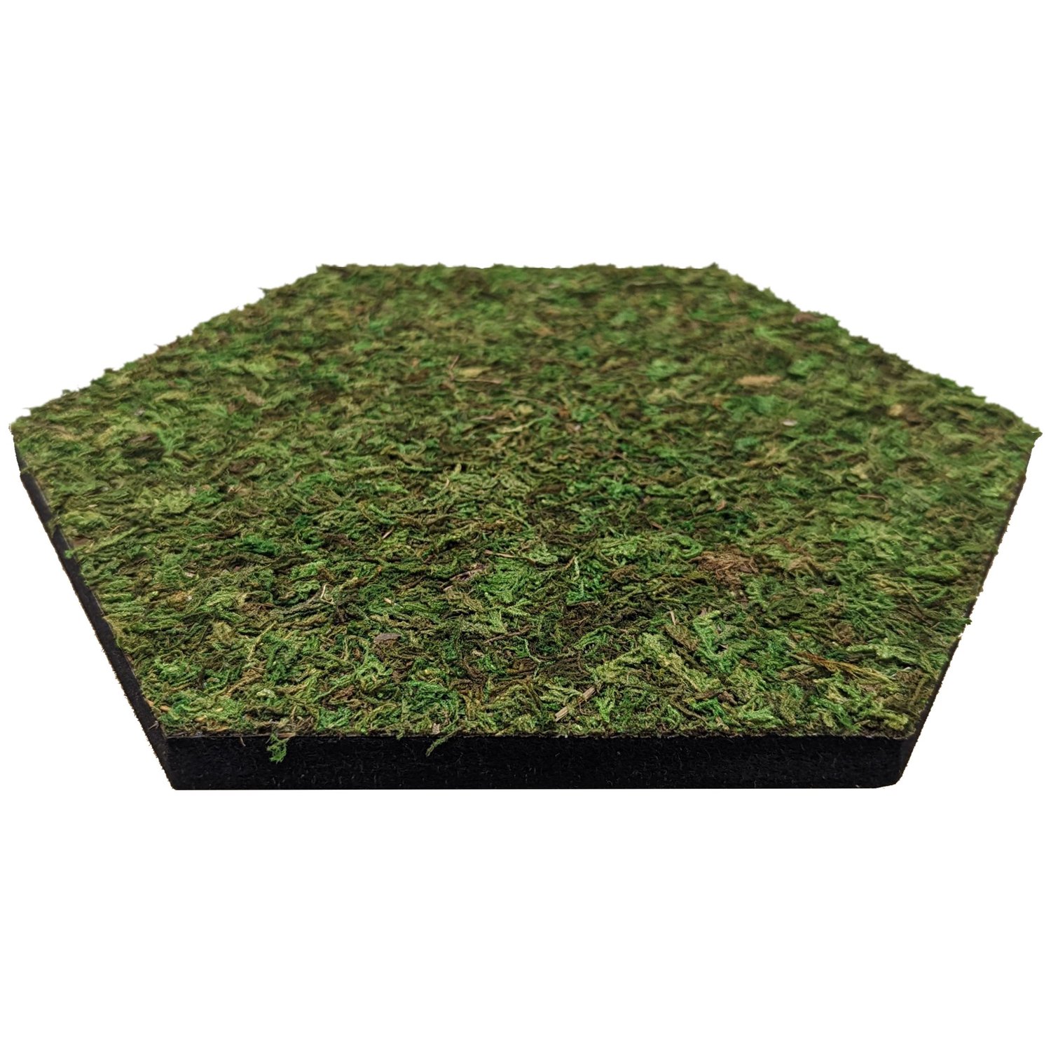 Simply Soundless - Room Sound Dampening - Natural Moss Premium - Simply  Soundless Moss Curated Pack - 10 Mixed Moss Sound Absorbing Tiles - 7 Flat  Moss 3 Artscaped Moss