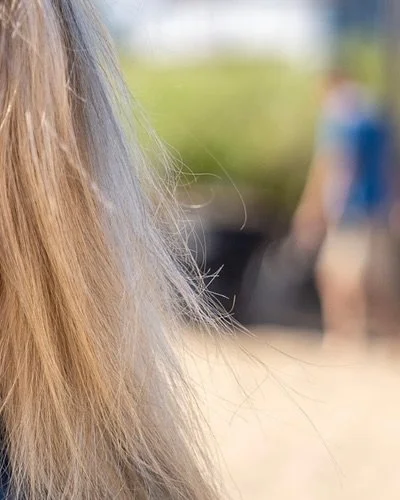 🚨NEW MERCH ALERT 🚨 Reup at Beach Boys before you roll out for your next beach day! 

Huge thanks to our friends at @littlechairprinting for this summer merch drop!

#oob #sopo #oldorchardbeach #maine #beach