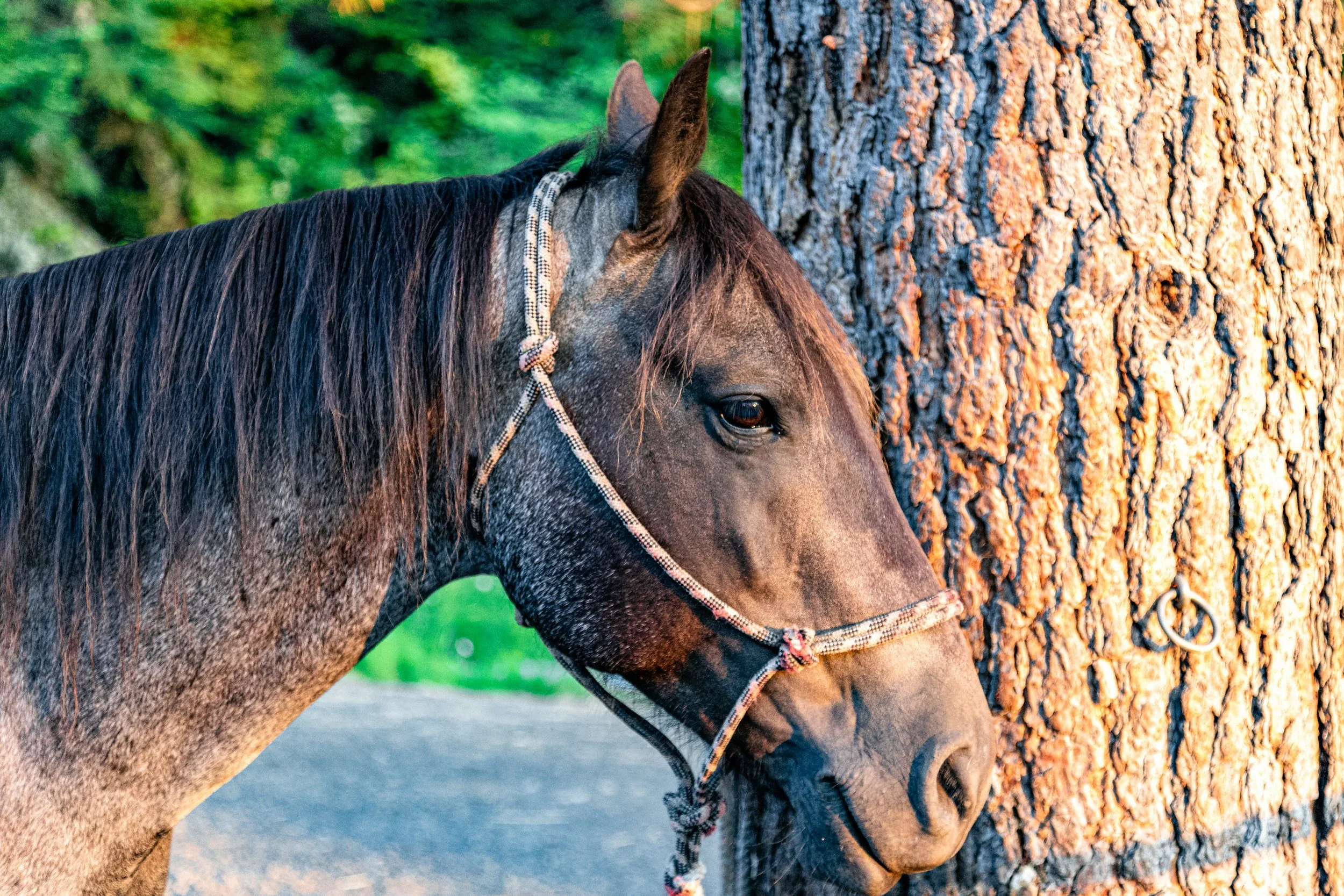 When Staying Isn’t the Same as Choosing