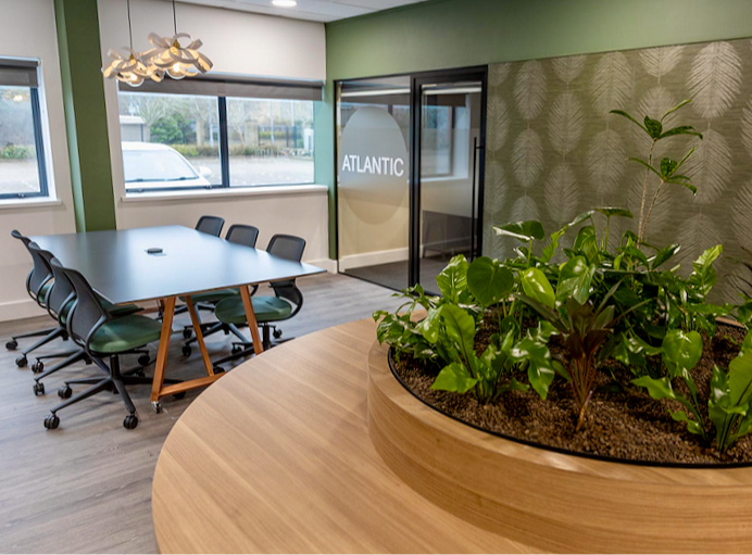 BRITA UK office design with biophilic sustainable design elements 