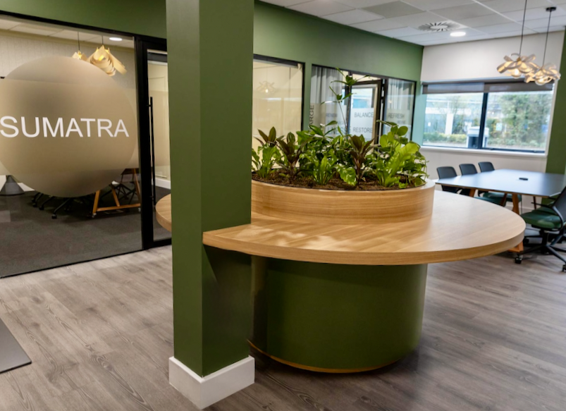 Interior of a workplace meeting suite with green walls, a wooden countertop with a built-in plant bed, and a conference area with chairs and large windows.