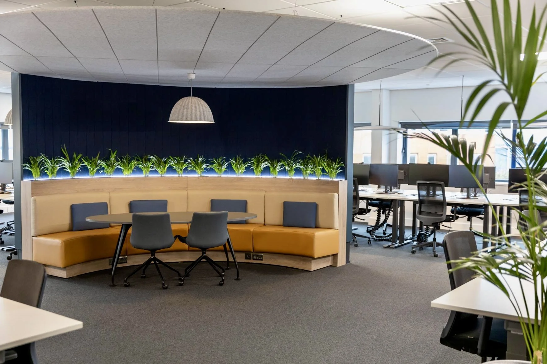 Modern office break area with curved booth seating, a round table, and office cubicles in the background, decorated with a row of green plants and a hanging pendant light.
