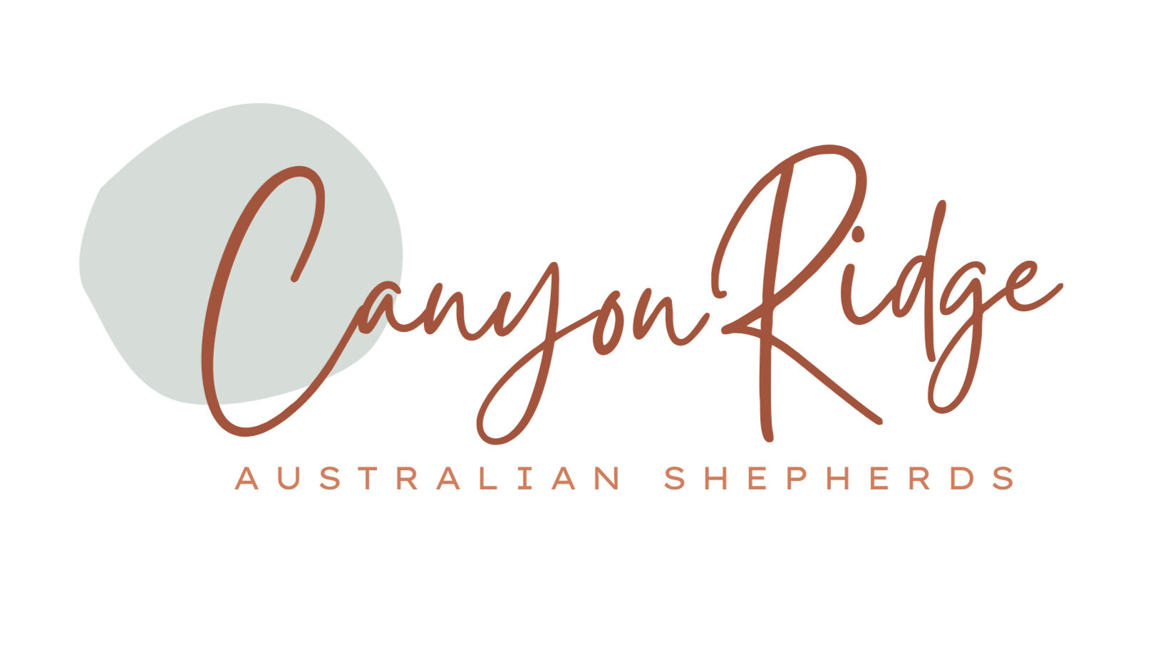 Canyon Ridge Australian Shepherds