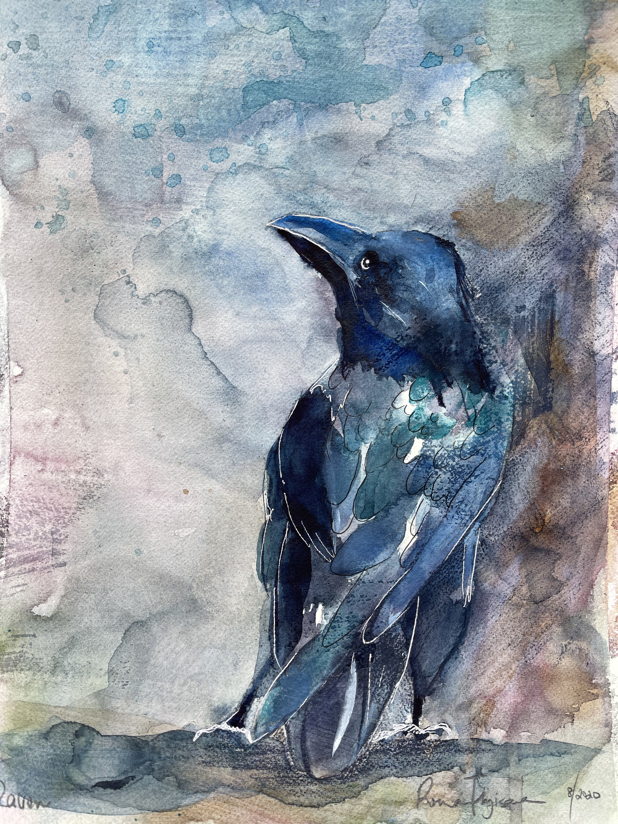 raven