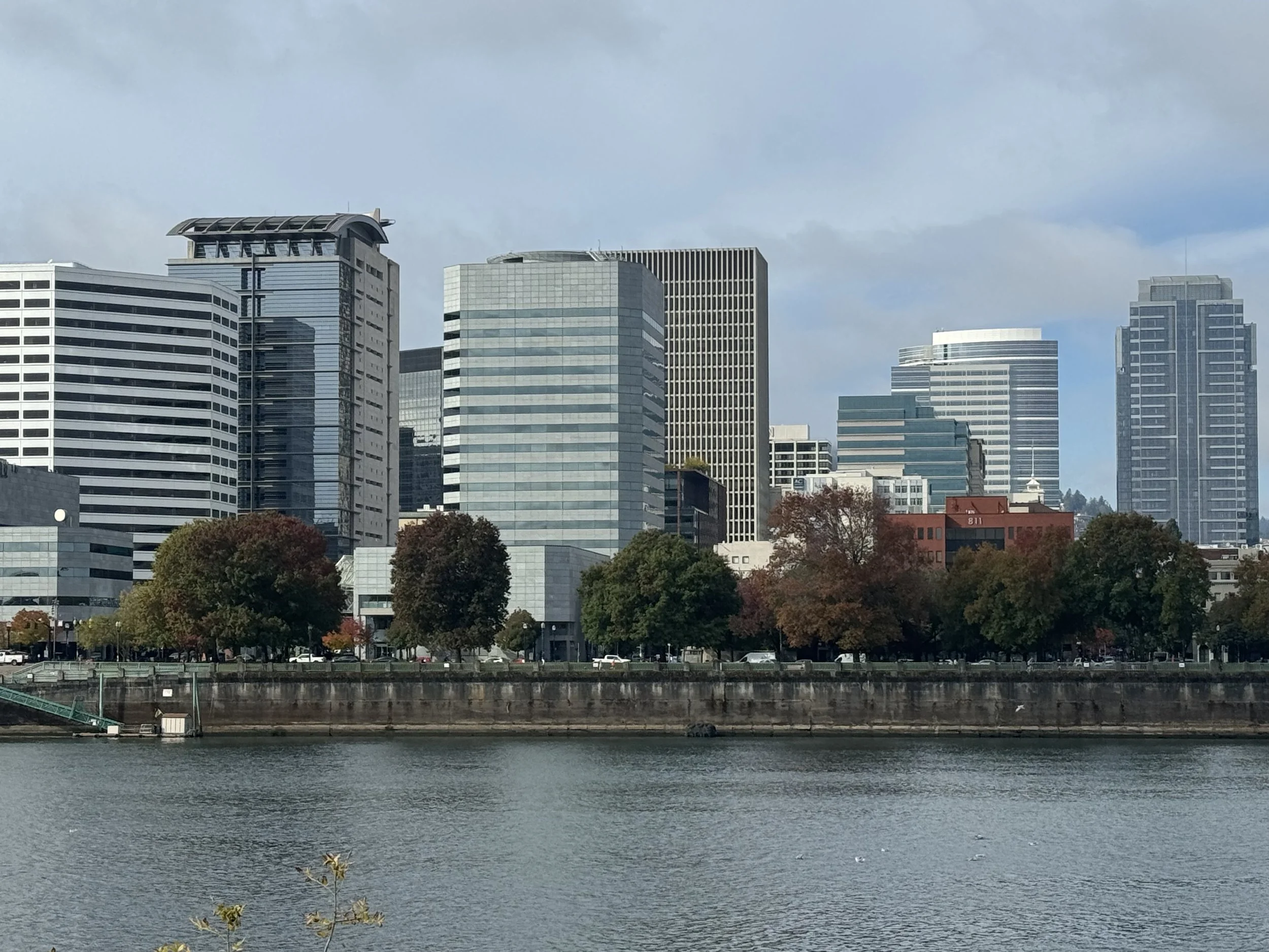 IMG_9966.jpeg