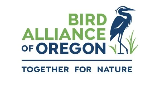 Image 1-5-26 at 6.04 PM.jpg