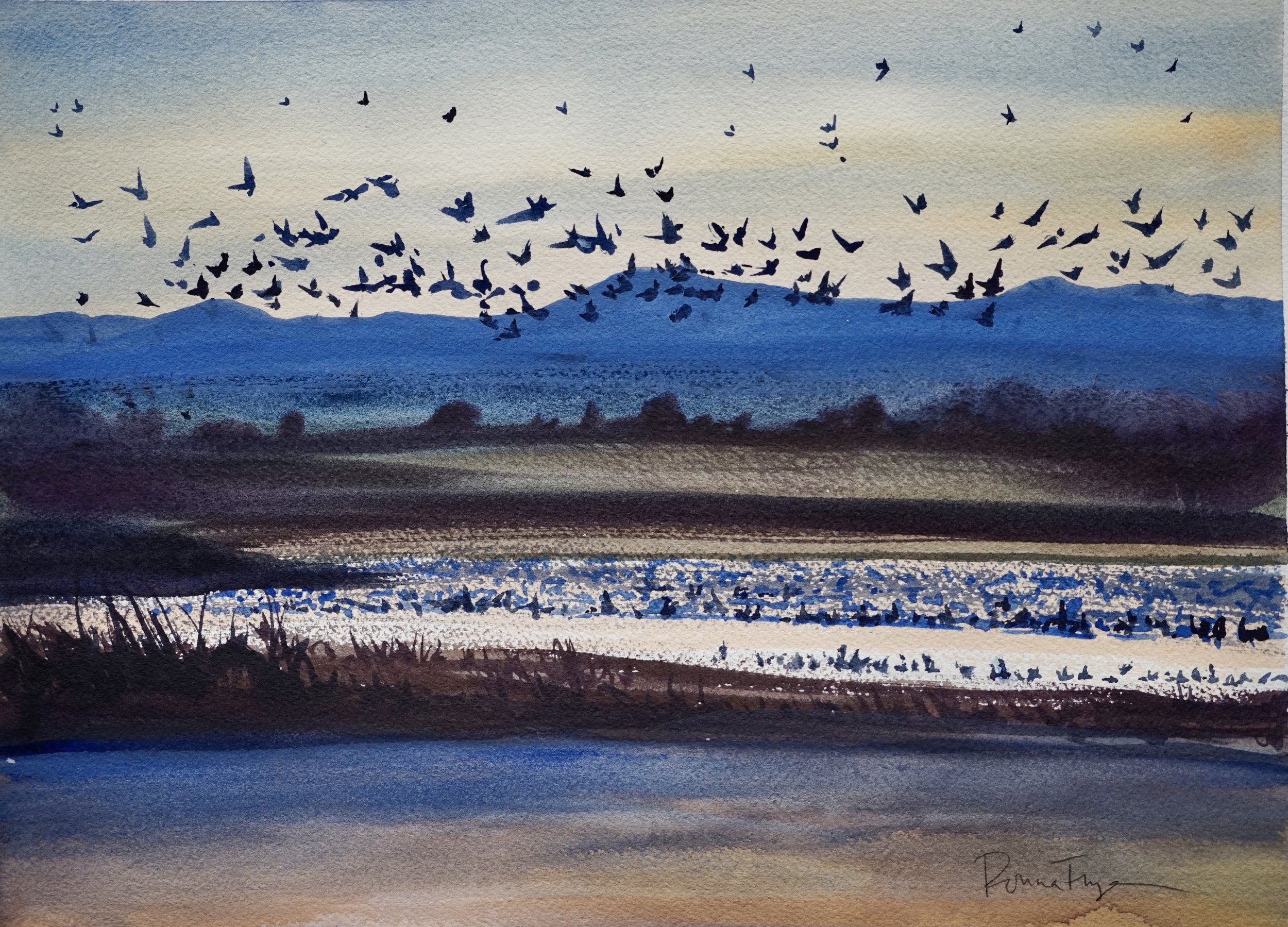 _DSC7547.jpeg (Copy)