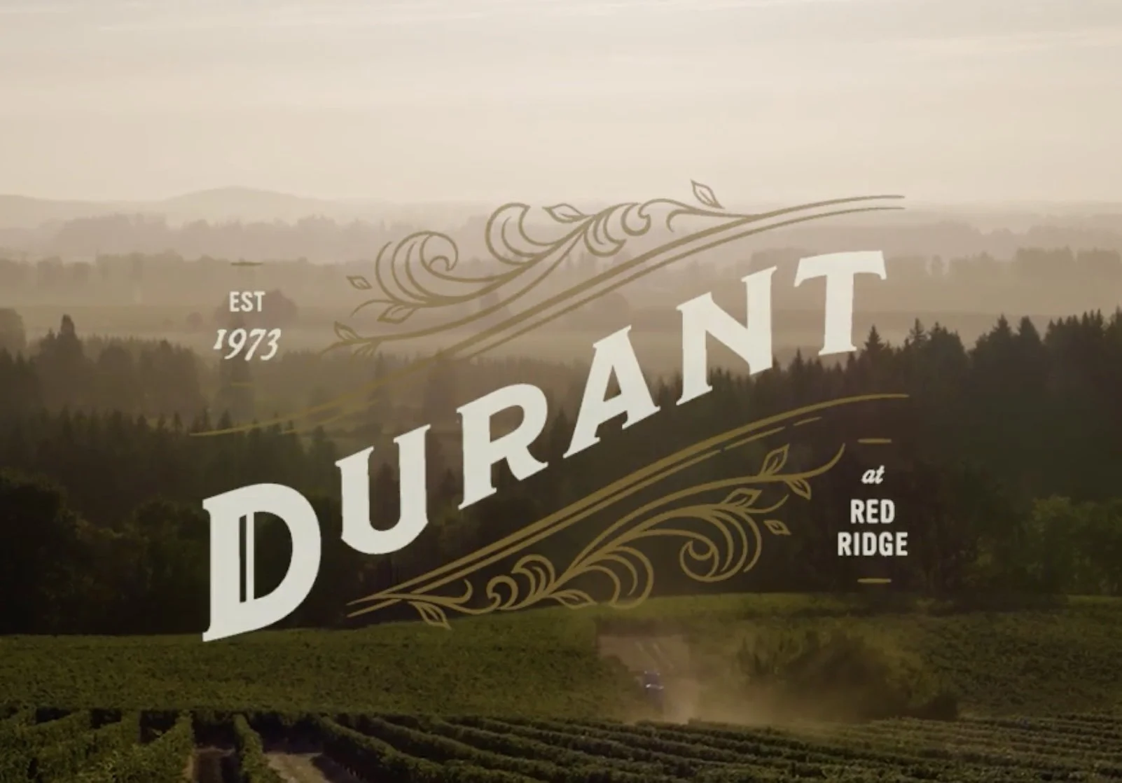 Image 1-5-26 at 5.59 PM.jpg