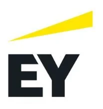 Professional Meeting - EY (Ernst &amp; Young)