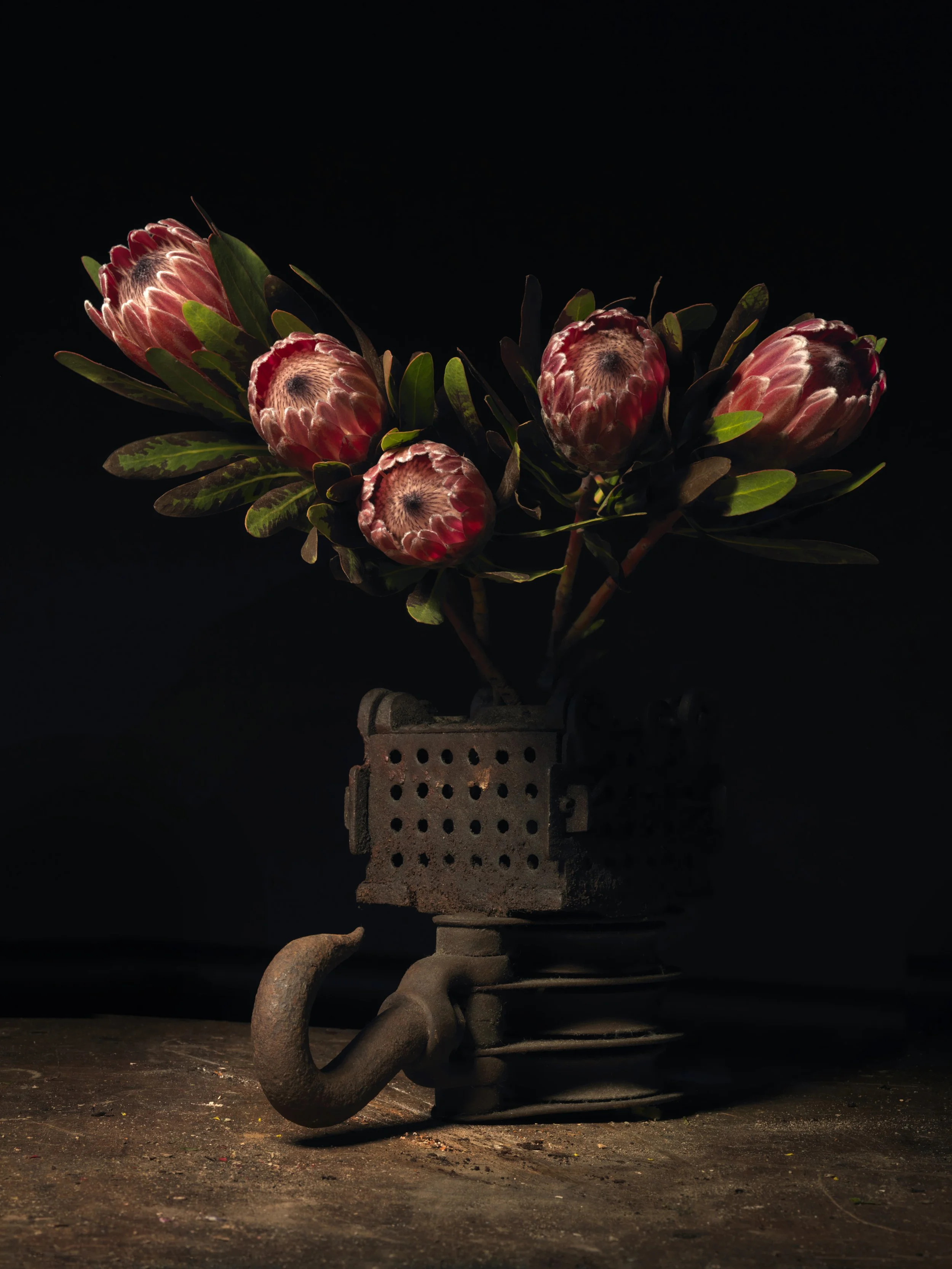 Block and Pump Filter.jpg