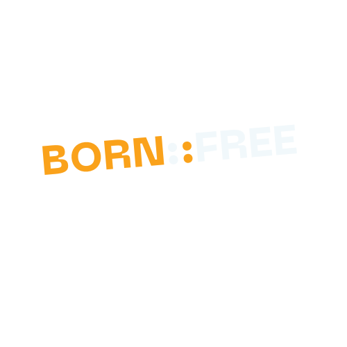 BORN FREE transparent 1.png