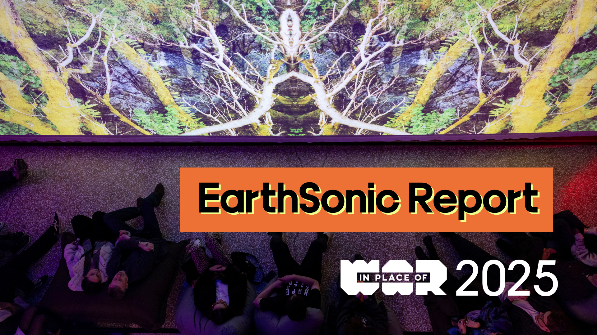 An image of an installation, with text EarthSonic Report, 2025, and the In Place of War logo.