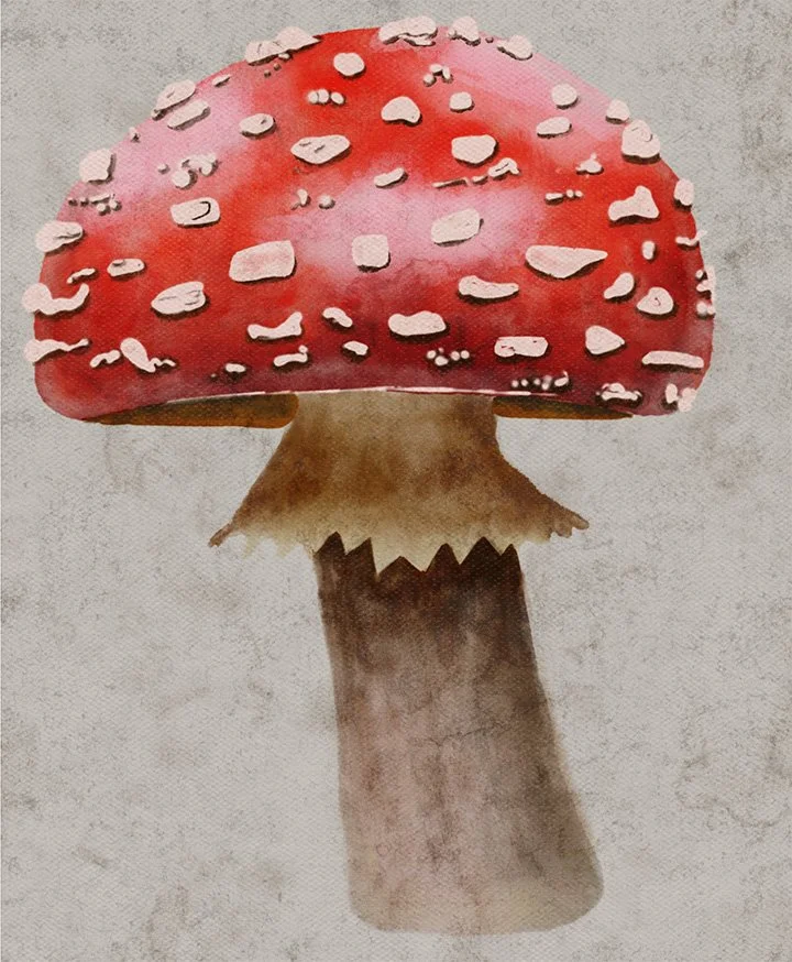 Mushroom 2
