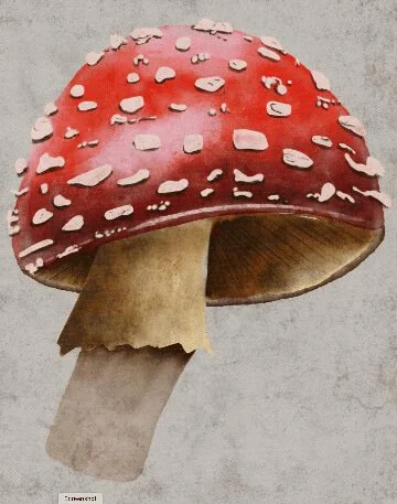 Mushroom