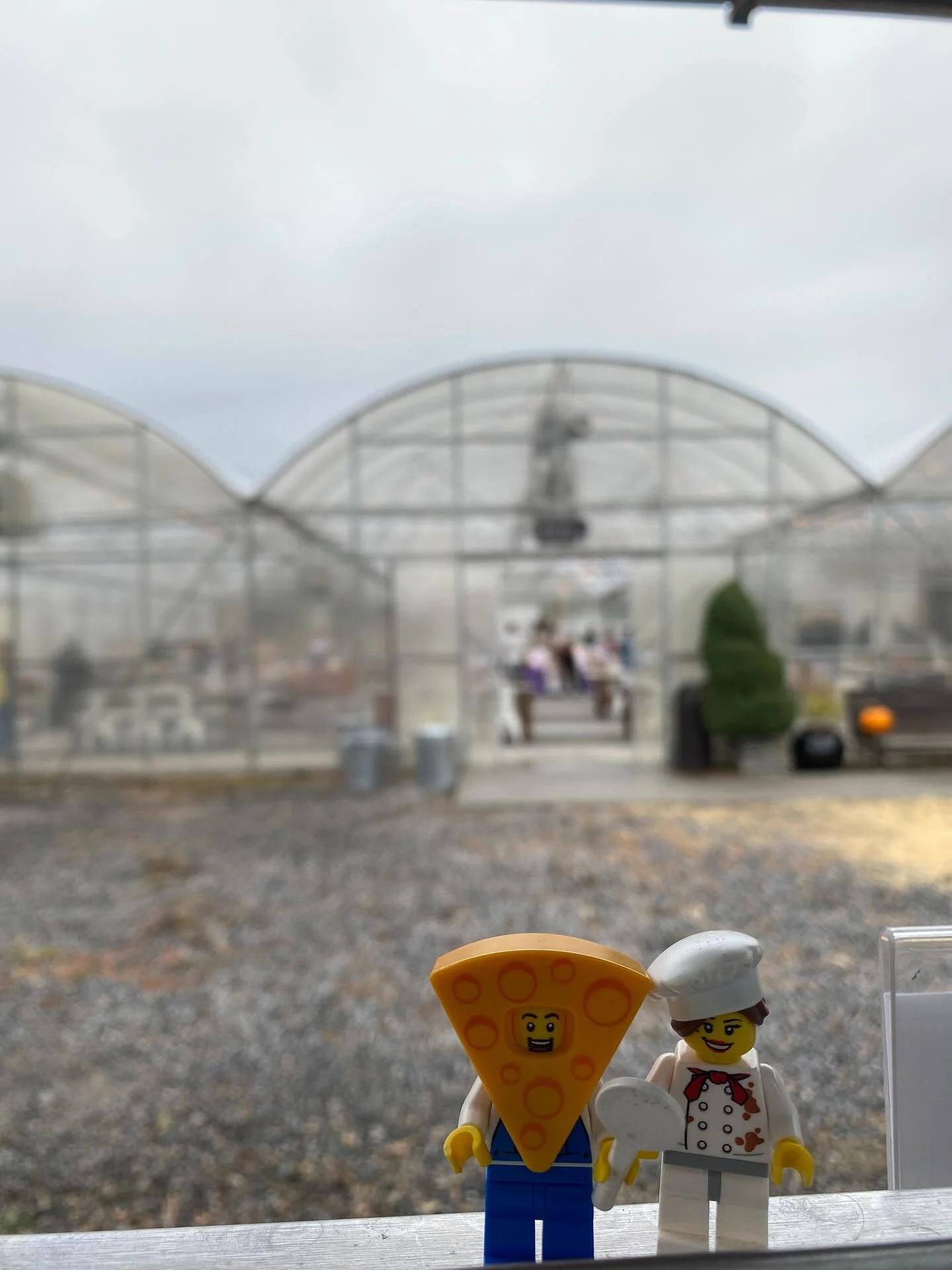 Where in Cache Valley are the Pizza Pals!?